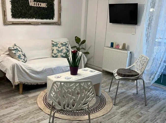 Selenity Studio